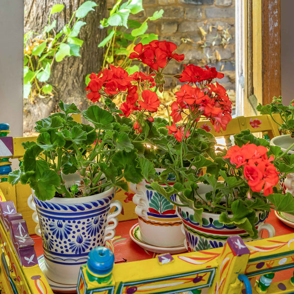 gorky gonzalez wicklewood handpainted flower pot